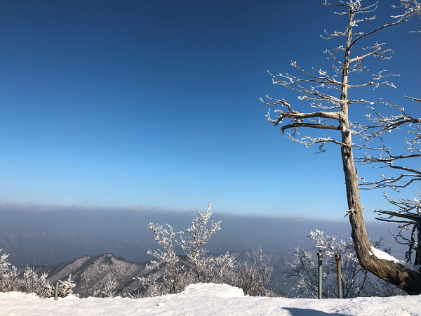 덕유산 설천봉에서 내려다본 전경