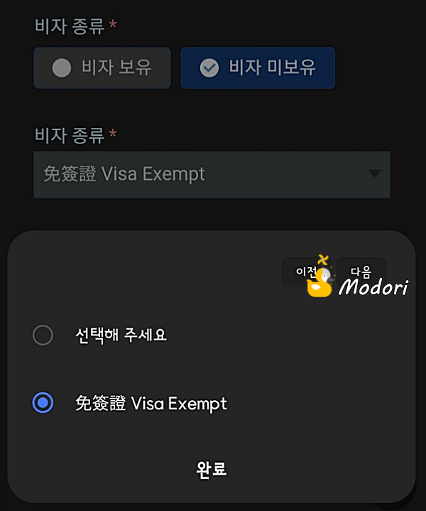비자 입력