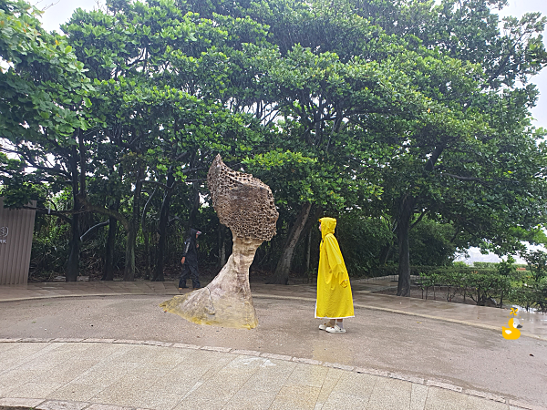 공주 머리