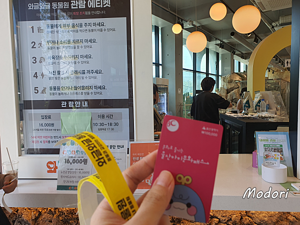 울산 아이문화 패스 카드로 결제하여 팔찌 형태의 입장 티켓을 받은 사진