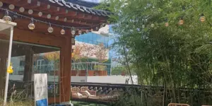 울산 한옥 카페 싱귤러커피