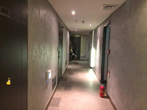 둔산 그레이톤 호텔 복도 사진