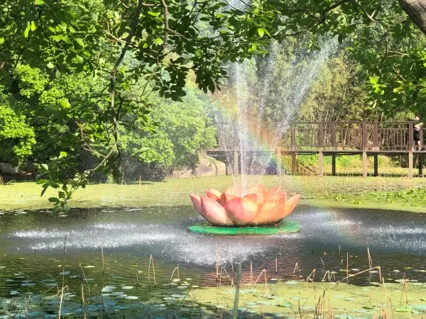 연꽃 분수대 위로 예쁘게 드리워진 무지개