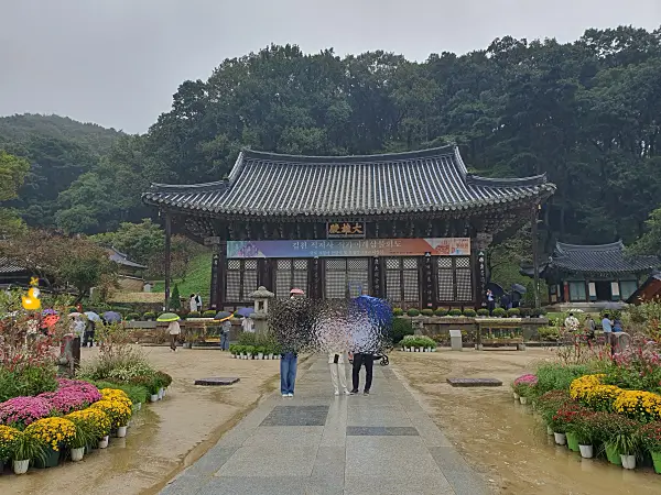 직지사 대웅전과 그 앞의 예쁜 꽃들