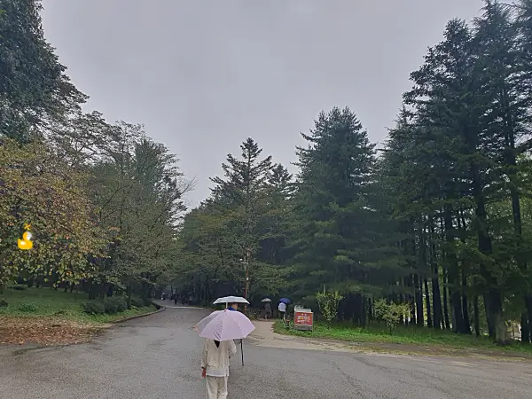 황악산문에서 직지사 경 내로 들어가는 산책로