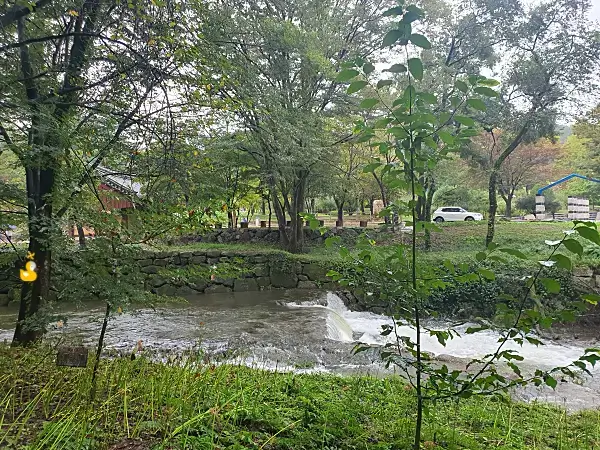 직지사 산책로 옆으로 흐르는 개울