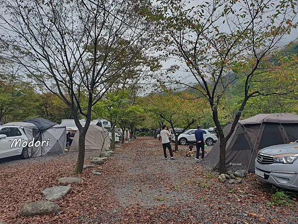 밀양표충오토캠핑장 사이트 사이 풍경