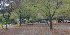 밀양표충오토캠핑장 사이트 모습