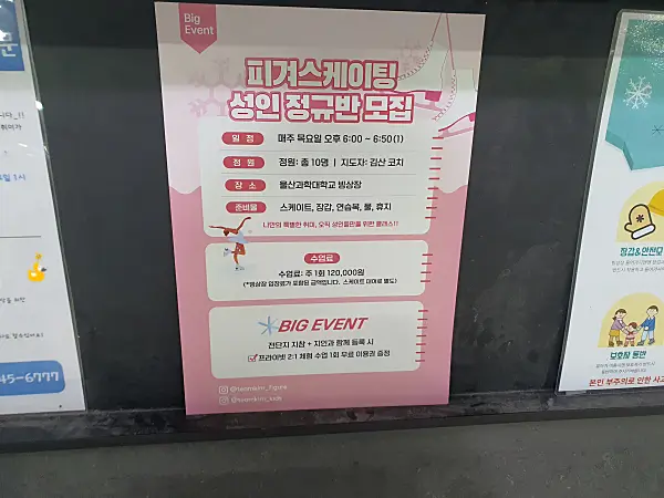 피겨 스케이팅 성인 정규반 정보