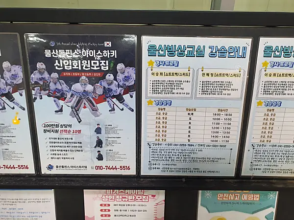 아이스하키와 스피드 스케이팅 수강 정보