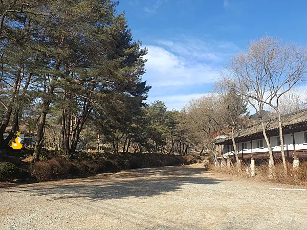 홍천 모둘자리 주차장 공터 모습