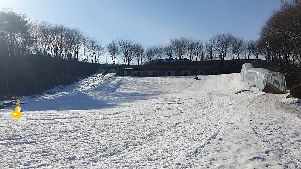 홍천 모둘자리 눈썰매 경사면에서 혼자 눈썰매를 타고 있는 사람