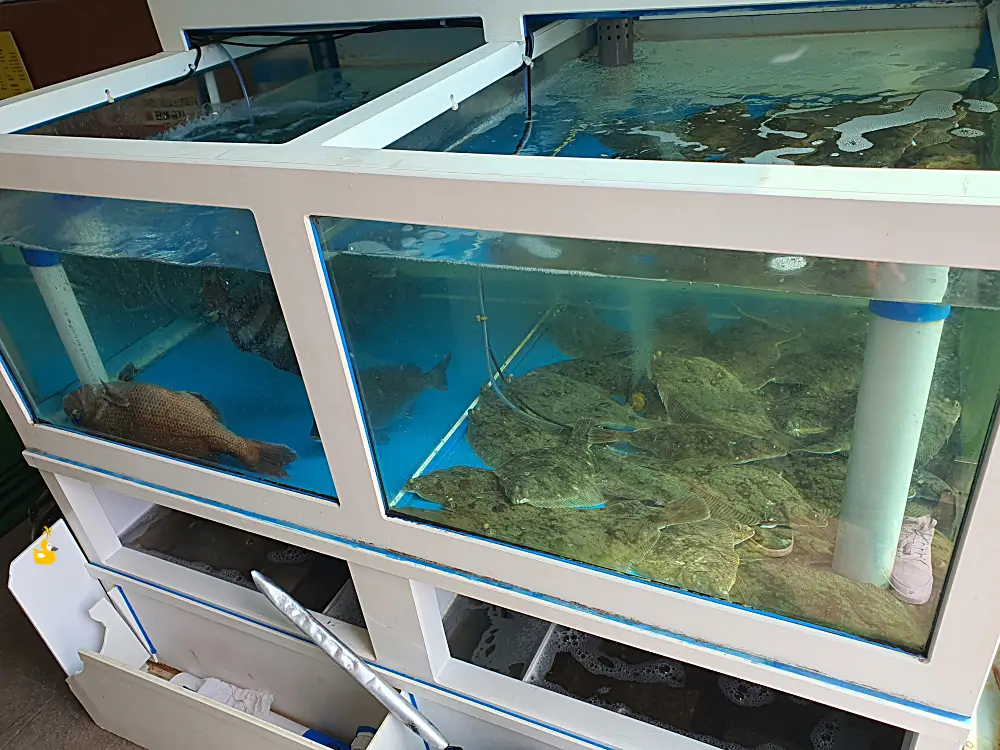 수산물창고 입구에 있던 생선 수조