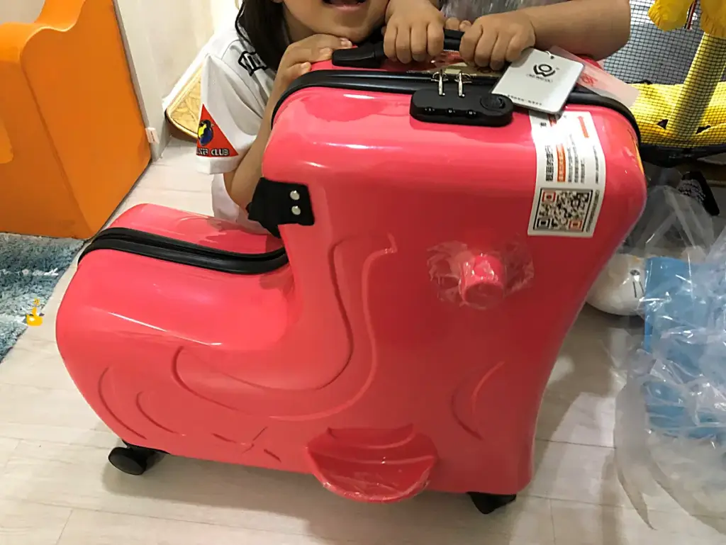 2019년에 구입했던 캐리어